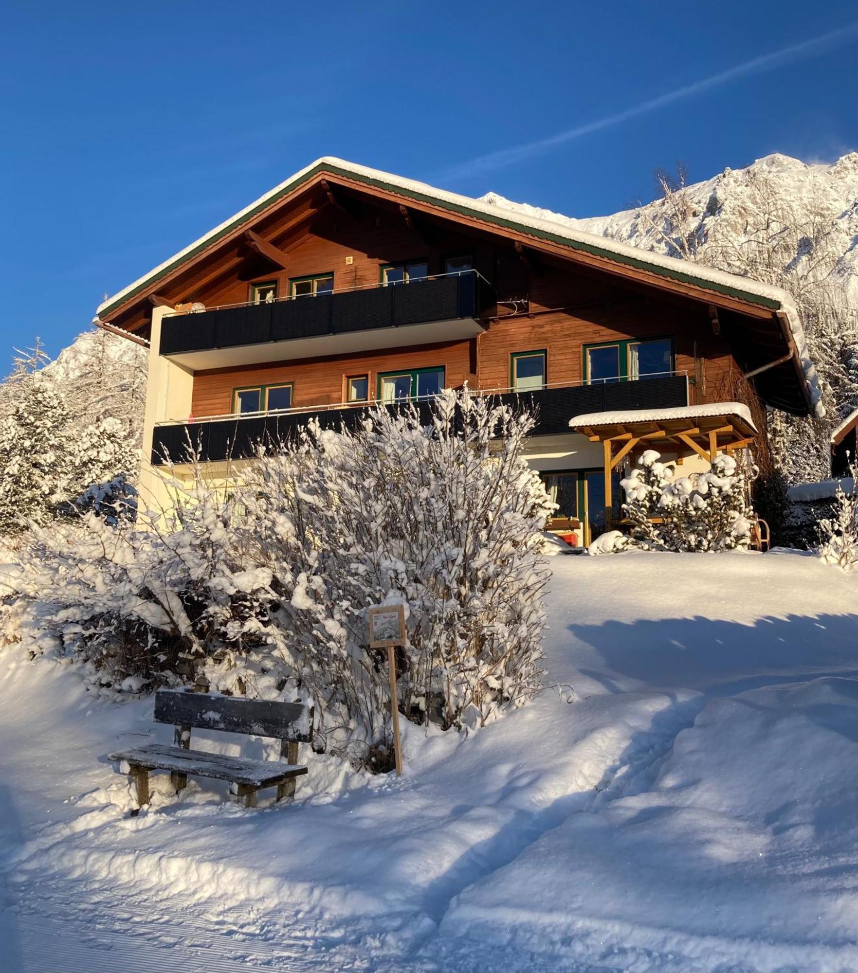 Haus Werner Apartment Ramsau am Dachstein Luaran gambar
