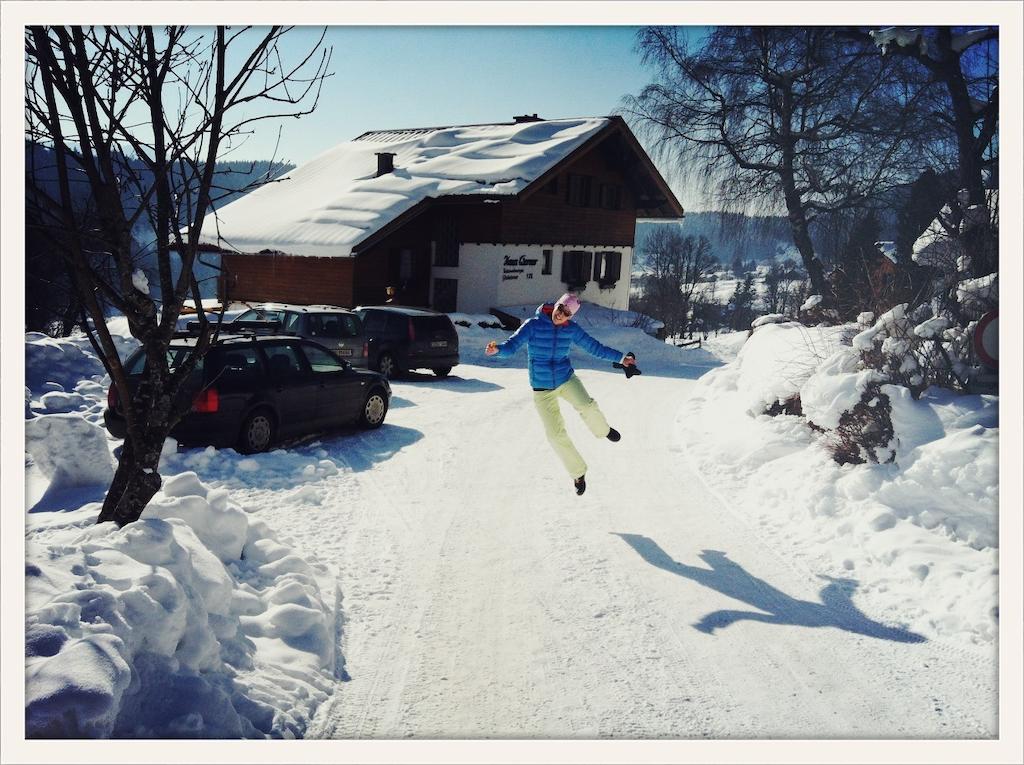 Haus Werner Apartment Ramsau am Dachstein Luaran gambar